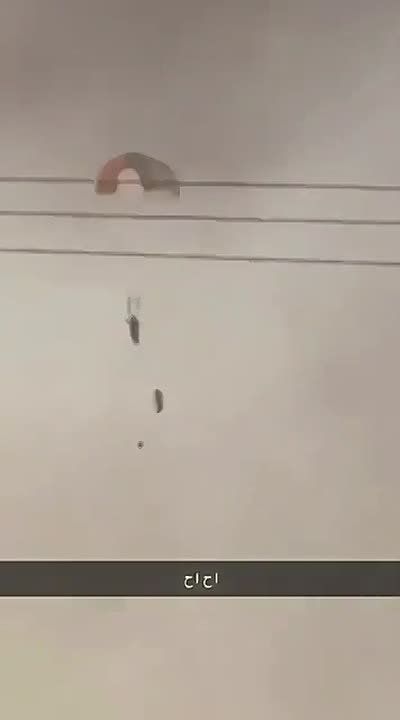 ������ ����������� ������������ �������, �������������������� �� ��������� �� ������ ����������� ��� ��������, ���������������� � ��������