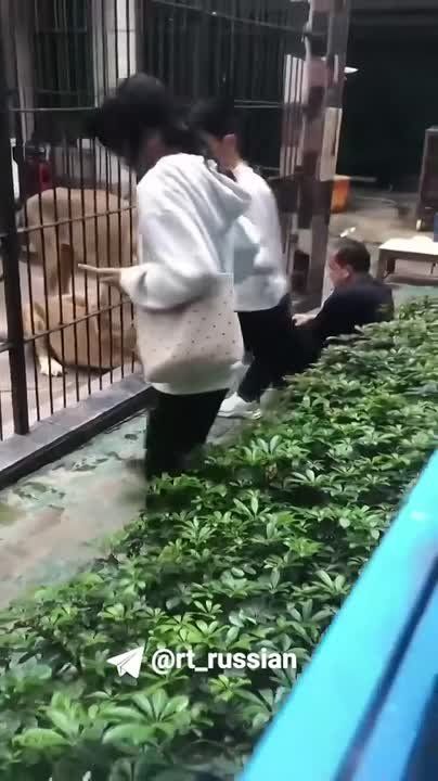 � ��� � ���� ����� �������� ���������������� ��������� � ��������: ���� ����� ������ ������ �� �������