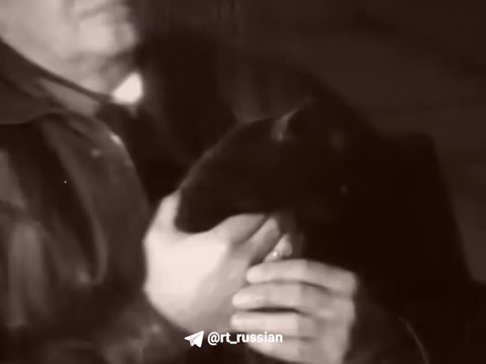 ��� ������� ������ ������ ������� �� ���������� �� ������� ���������� ���� �� ������, ���������� RT � ������� ������: