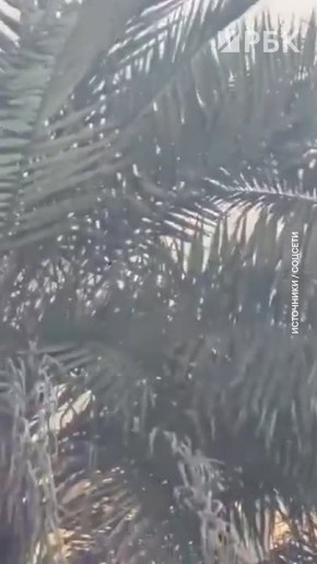 Американский истребитель F-15 разбился в Кувейте, сообщает Quds со ссылкой на источники