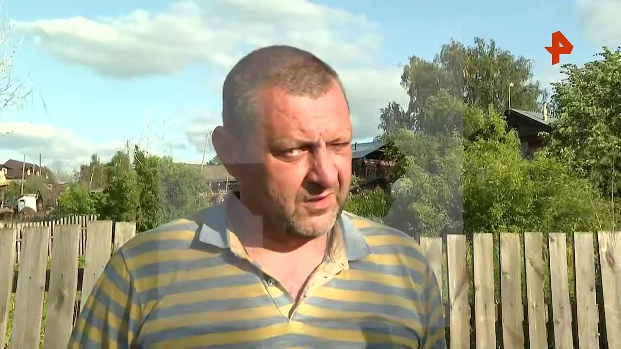 Блуждающих хрюшек изымут у упрямого жителя Ревды в Свердловской области и передадут другому фермеру