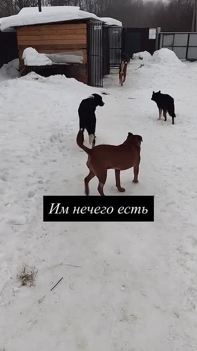 ��������� ����������: �������� ���� ������ ��� ���