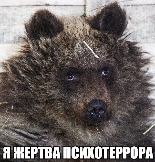 Дмитрий Стешин: Ошеломительную сделку предложил США известный интернет-хохол Тизенгаузен пытается вымутить ракеты для "Пэтриот", применяя самое секретное оружие - хуторскую хитрецу: