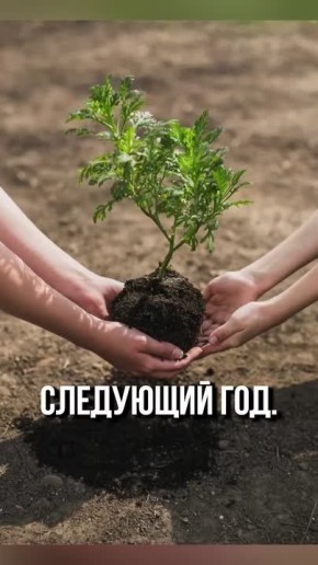 ����� ���������: ����������� ����������? ������ ����, ����� � �����, ������� ����������