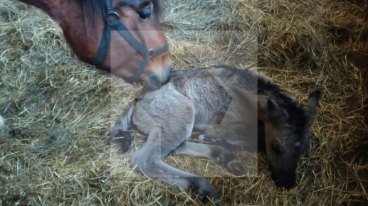 ������ � ������ ���������, ������� � ������� ���, �������� �� ���� � ��������� �����������