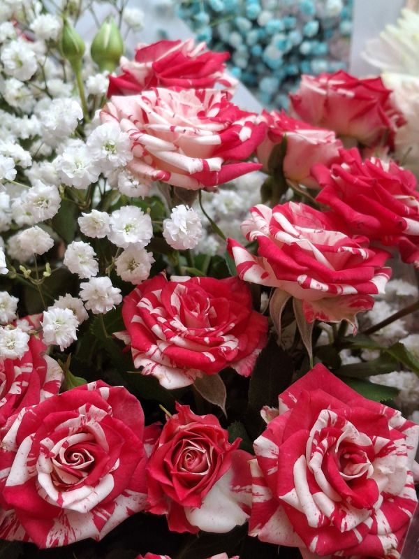 6 марта ветеран Великой Отечественной войны, труженица тыла Валентина Ильинична Рабинович отметила 104-й день рождения