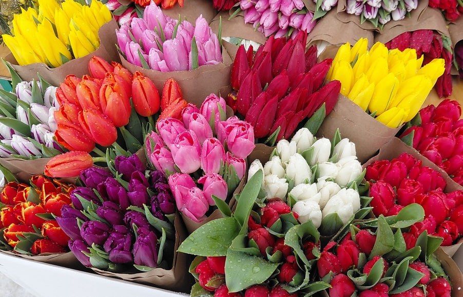 � �������� ������� �� ����� ������ ������ ������ �����