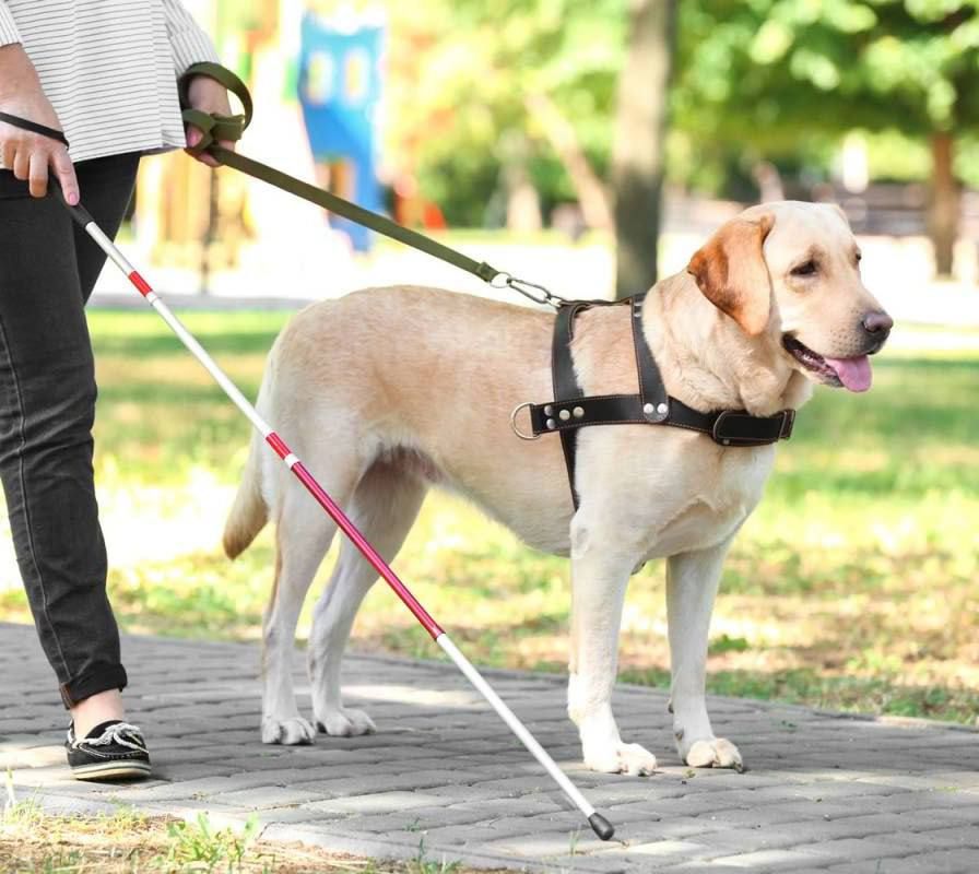 � ������ � 1 ���� ������� � ���� ���� � ������������ � �������-���������: