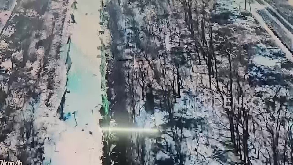 ������ �������: ������� ����� ����������� ������ 51-� �� ����������� ����� ������ ������� ������� ������������ ��� �� ��������������� �����������