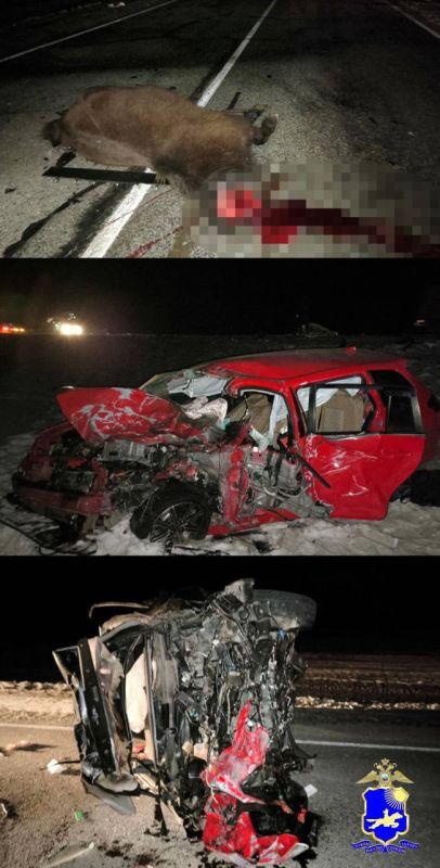 ���������, ������� �����!. ������ ��� � ����: �������� Honda ���� ������, ����� ���� ������ � ���� � ������� ��� ��������, �����, ������� �����, ����������