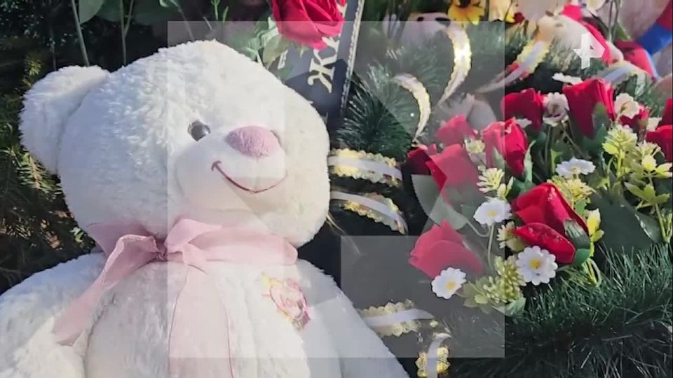 ���� ������ �� ������ ������������� ����, �������� �������� � ������� � ������������� ������� � �� ��� ��� ������ ������ 40 ����