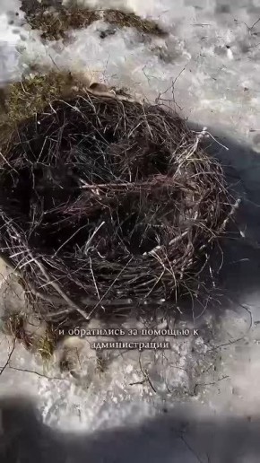 ���������� �������� ����� ������� ��������� � �������