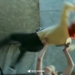 ���� ���� ������� ��������, ��������� �� ���� ������ ������ � ������������� �����������