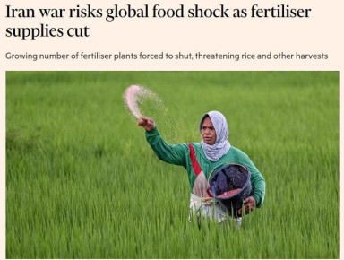 FT: �������� � ����� ����� �������������� ���������� ����������������� ������ ��-�� ���������� �������� ���������