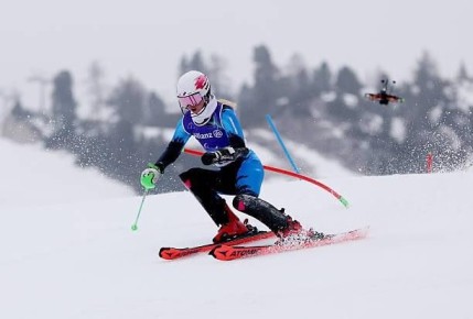 ���������� ������������ ������� ����������� ��������� ������ � ������� �� ������������