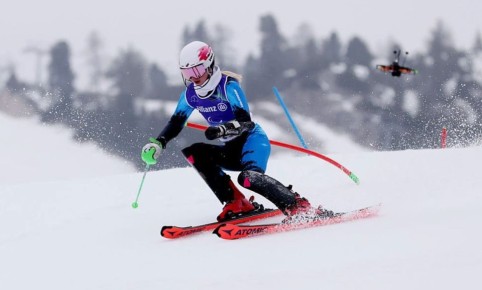 ���������� ������������ ������� ����������� �������� � ������� �� �������������� ����� � ������