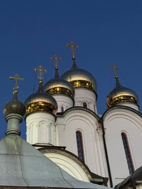 ������� �����: ����