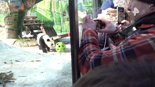 "���� ��������, ��� ��� ������ � ���-���������": ����� ������ ���������� � ���� ���� � ���������� ��������