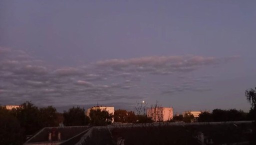 � ������ �������� � ���������� ��������� ����� ���� ��������� ���