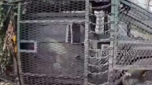 Андрей Руденко: Операторы ударных БПЛА войск беспилотных систем ГрВ «Восток» пресекли попытку ротации украинских боевиков в Запорожской области